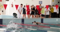 Zobacz galerię: Mistrzostwa Śląska w pływaniu 12.latków